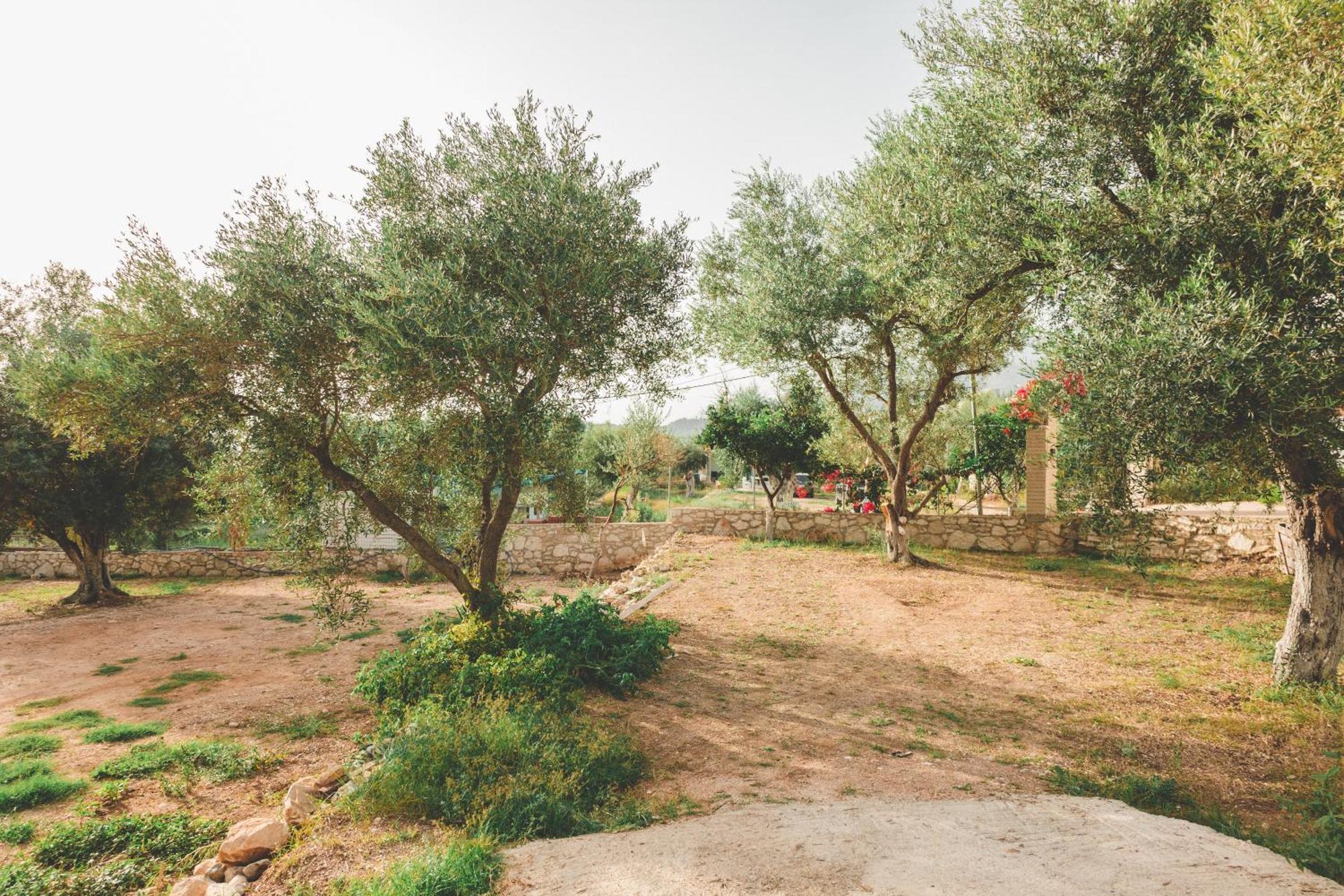 Olive Camping Himare Buitenkant foto