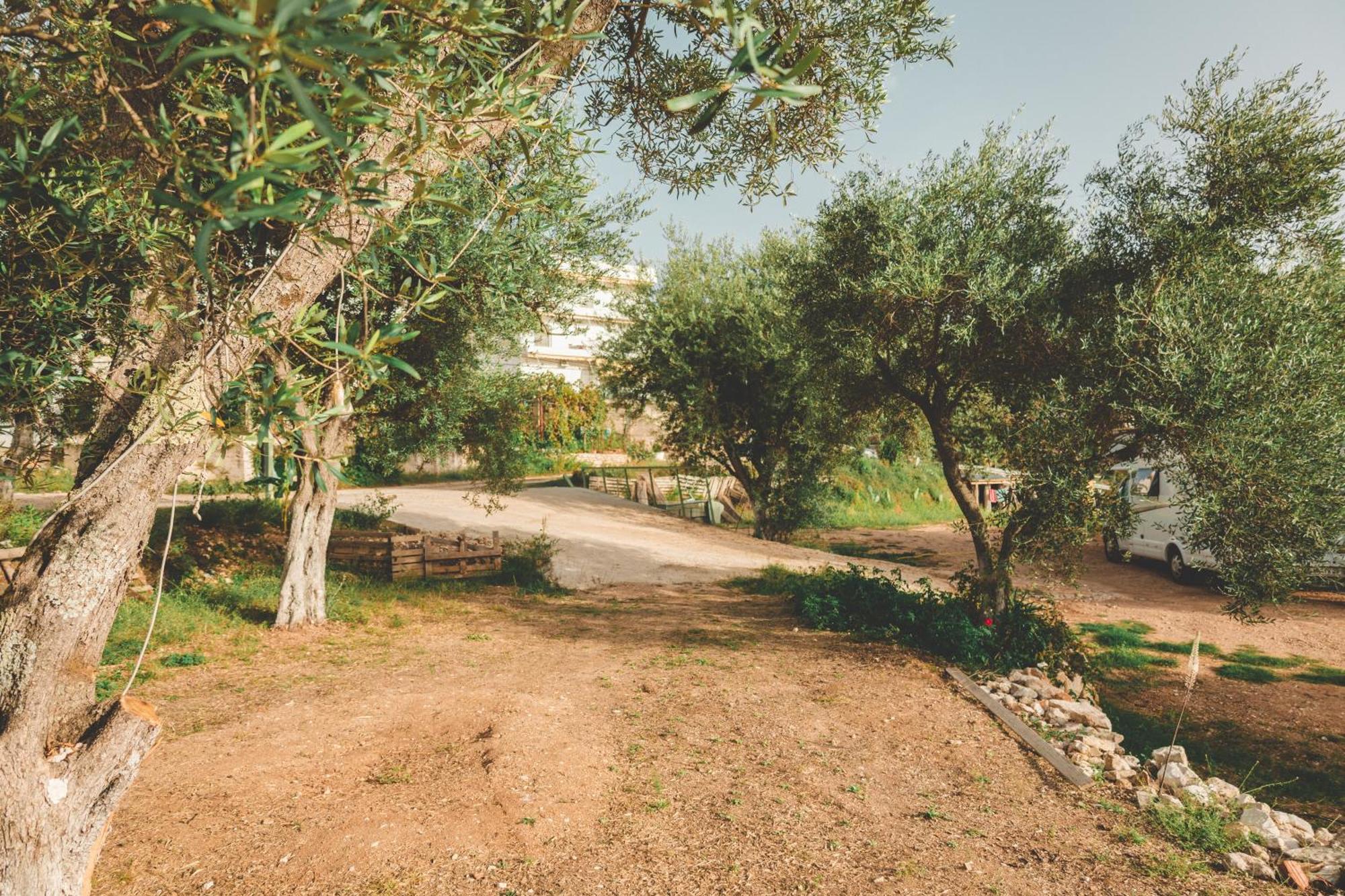 Olive Camping Himare Buitenkant foto