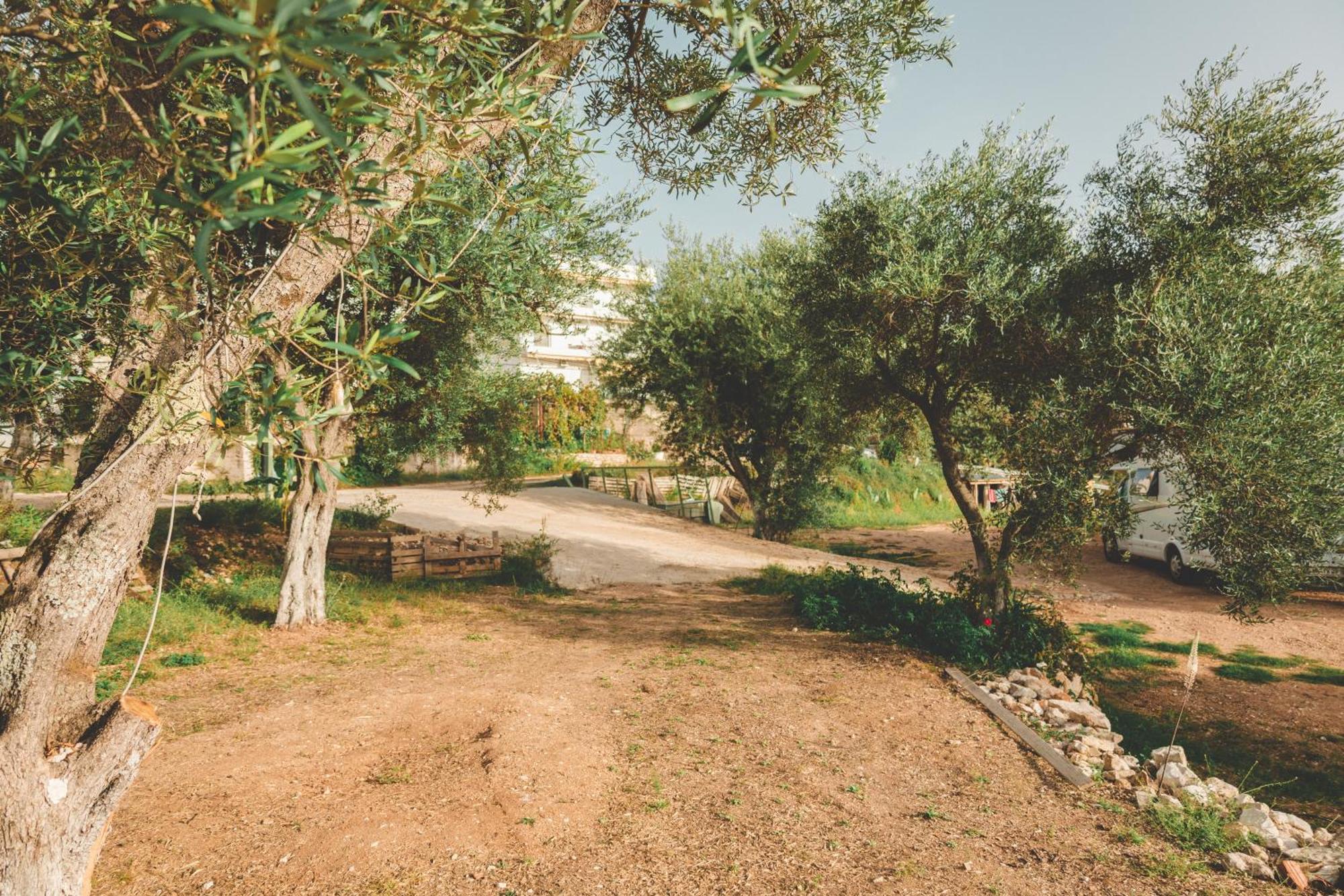 Olive Camping Hotel Himare Buitenkant foto