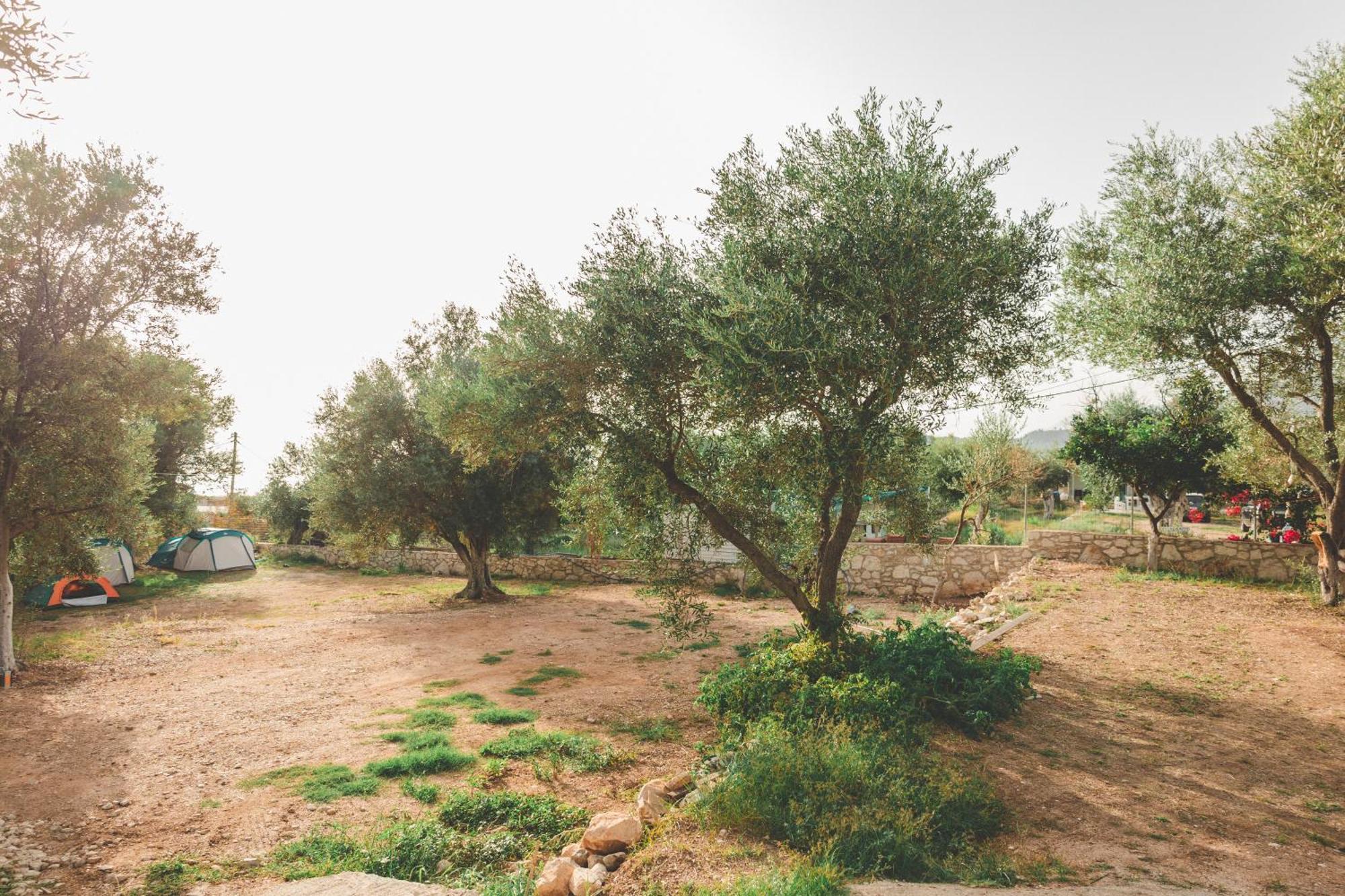 Olive Camping Himare Buitenkant foto
